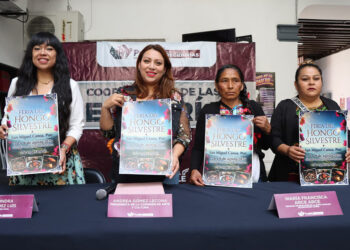 Impulsa Gobierno de la Ciudad economía local con la Feria del Hongo Silvestre