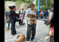 Realizan esterilización canina y felina para prevenir sobrepoblación en Ahuatempan