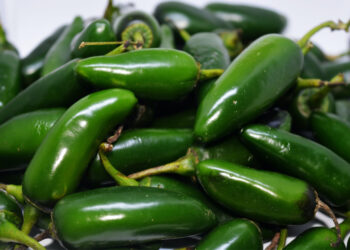 Ahora es brote de salmonela en EU por los chiles jalapeños