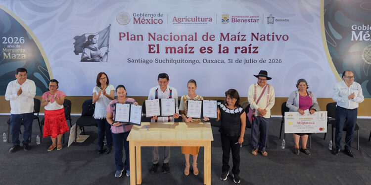 El maíz es la raíz de México; el objetivo es conservar la semilla y generar bienestar: Claudia Sheinbaum entrega apoyos del programa a Sembradores de Oaxaca