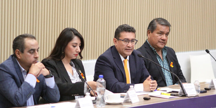 Con perspectiva de género e inclusión, el Congreso trabaja por la protección de mujeres y niñas: Pável Gaspar