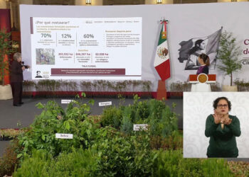 Desde Puebla, la presidenta Claudia Sheinbaum arrancará la Jornada Nacional de Reforestación