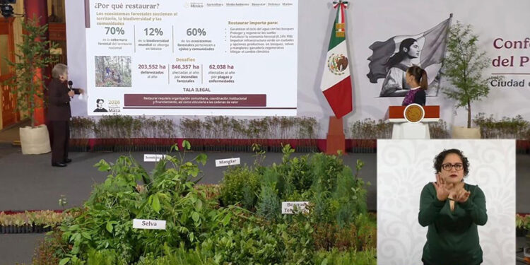 Desde Puebla, la presidenta Claudia Sheinbaum arrancará la Jornada Nacional de Reforestación