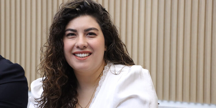 Impulsa diputada Xel Arianna Hernández iniciativa en materia de violencia vicaria