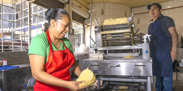 Se garantiza estabilidad del precio de la tortilla con abasto suficiente de maíz blanco
