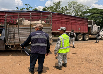 Inspecciona Agricultura más de 80 mil cargamentos y 5 millones de cabezas de ganado contra el GBG