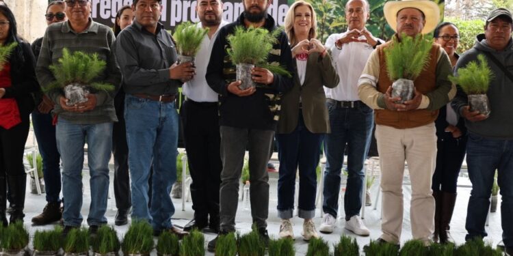 Refrenda gobierno estatal compromiso de conservar ecosistemas; entrega 274 mil árboles