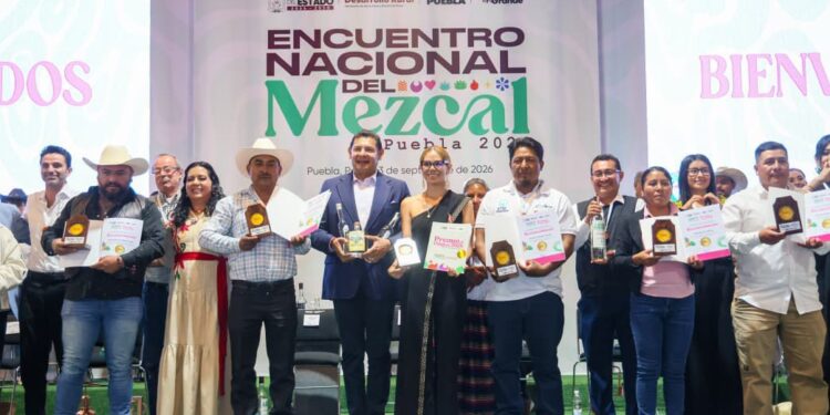 Mezcal poblano es orgullo, identidad y riqueza para sus comunidades: Armenta Mier