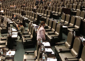 Diputados Federales toman «licencia» de una semana por fiestas patrias regresan el 22: Laura Ballesteros