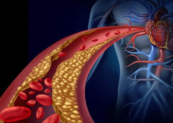 El colesterol no solo pone en riesgo al corazón: también puede comprometer la salud del cerebro