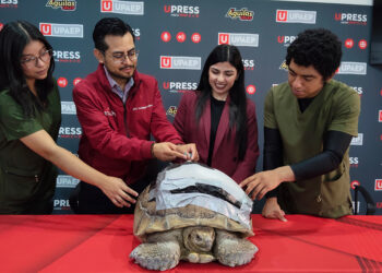 UPAEP crea órtesis biónica para tortuga Darwin