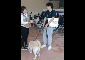Realizan jornada masiva de esterilización para perros y gatos en San Andrés Cholula