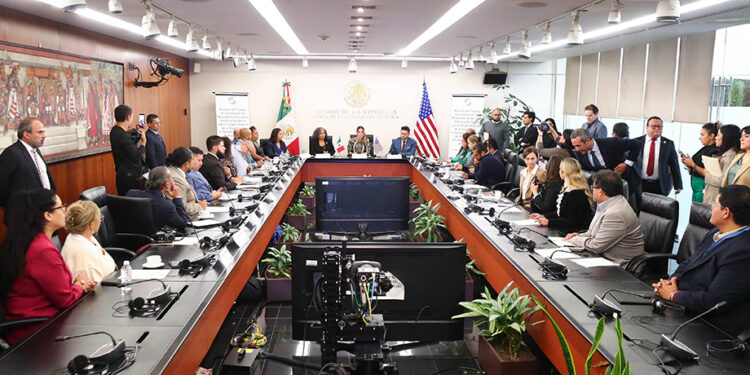 Comisión del Senado se reúne con legisladores de la Asamblea y el Senado de Nueva York