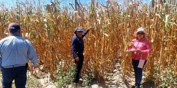 Gobierno Estatal mantiene atención a productores afectados por sequía