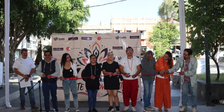 Reúne Gobierno de la Ciudad a personas jóvenes y adultas mayores en jornada comunitaria de yoga
