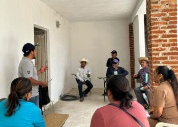 Refuerzan acciones preventivas contra el gusano barrenador