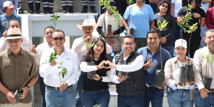 En Izúcar de Matamoros, el diputado Pável Gaspar participó en la Jornada de Reforestación “Pulmones Escolares”