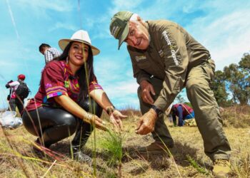 Con el respaldo del Gobierno del Estado, Tonantzin Fernández encabeza jornada de reforestación en el Cerro Zapotecas