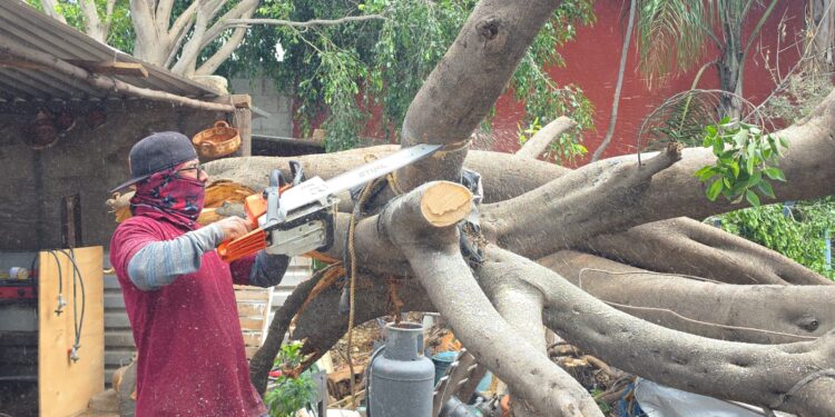 Gobierno de Cuautlancingo mantiene atención a afectaciones derivadas de la lluvia