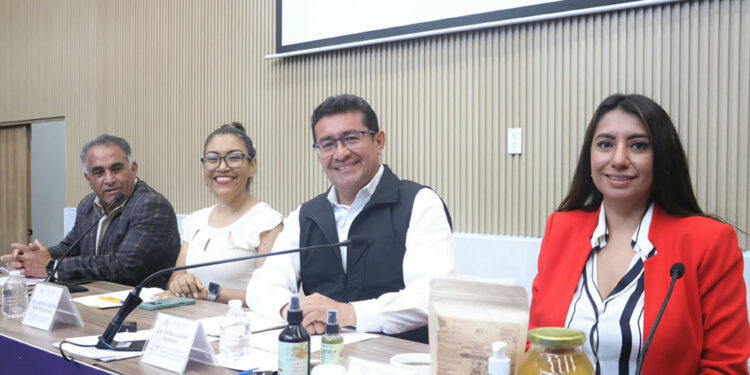 Destaca Pável Gaspar rendición de cuentas de diputadas y diputados durante sus Informes de Actividades