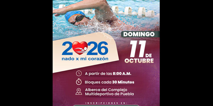 Realizarán Gobierno de Pepe Chedraui y Furia México una edición más de Nado por mi Corazón 2026