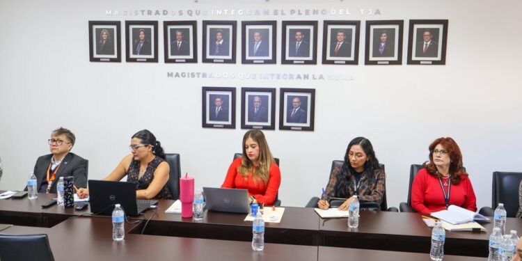 Poder Judicial de Puebla capacita a personal en protección de datos personales y elaboración de versiones públicas de sentencias