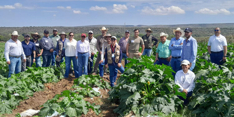 AGRICULTURA y sector privado capacitan a 930 productores para vender a cadenas comerciales en Durango