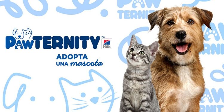 Hill’s Pet Nutrition lanza Pawternity para transformar la adopción de mascotas en México