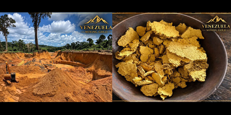 Venezuela Mining Gold anuncia plan estratégico de transformación de marca orientado a los mercados de alta joyería y comercio global de metales valiosos
