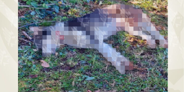 Obtiene FGE sentencia condenatoria por actos de crueldad contra canina en Zacapoaxtla