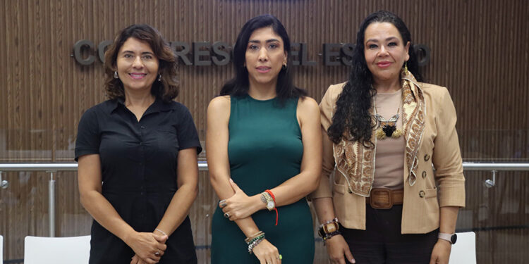 Convoca diputada Norma Pimentel a participar en el Foro sobre el Derecho Integral al Cuidado