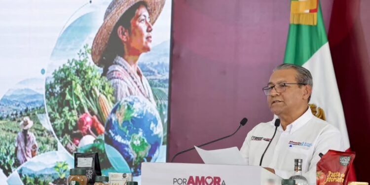 Enfrentan 700 mil poblanos inseguridad alimentaria; la mitad vive en cuatro municipios: AJM