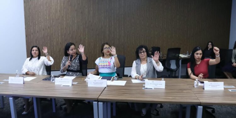 Aprueba Comisión del Congreso exhorto para la protección y acompañamiento de las personas adultas mayores