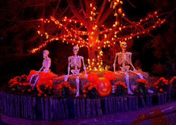 Déjate sorprender en Catrilandia 2026 de Volcanic Park durante días de muertos