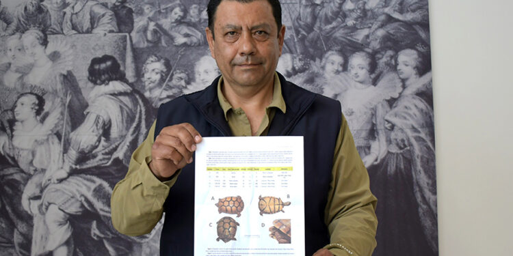 Investigadores BUAP registran nuevos ejemplares de tortuga en el estado de Puebla