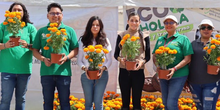 Carolina Fernández dona 100 flores de cempasúchil durante la 18.ª edición de EcoCholula