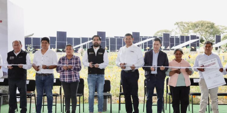 Primer sistema agrovoltaico del país en Puebla, Gobierno Estatal marca precedente